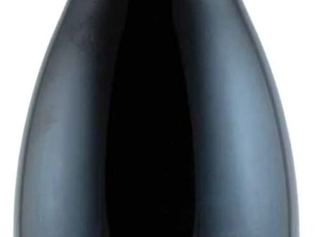 Domaine Michelot Bourgogne Rouge Cote D Or 2021 (750ml 12) 2021 Online Hot Sale