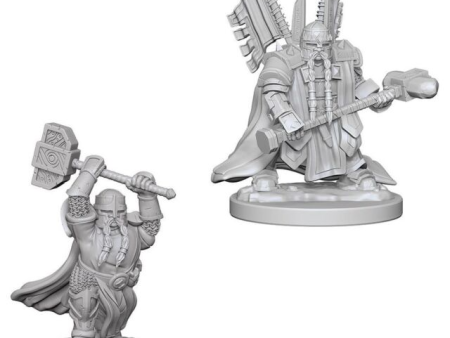 D&D Nolzur s Marvelous Unpainted Miniatures: Dwarf Male Paladin Online Sale